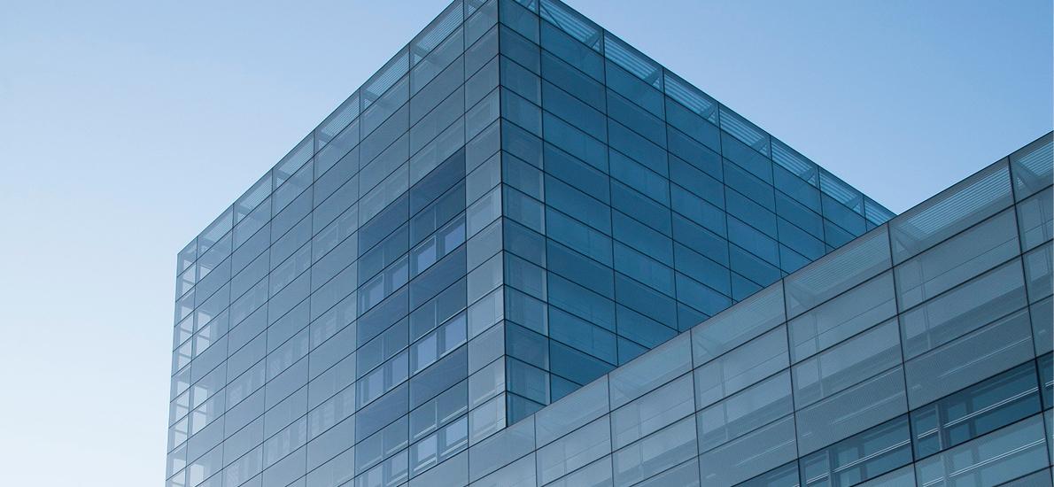 Wolf Vespasiano Default Block Background